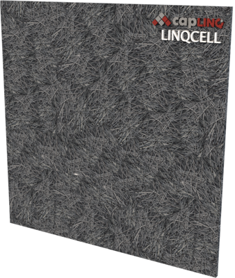 LINQCELL GDL2200 | 2.2mm Rendering Carbon Plate